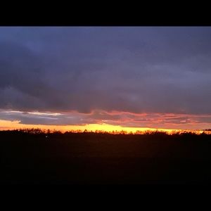 Meet your Posher, Daryl